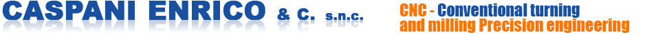 logo caspani enrico