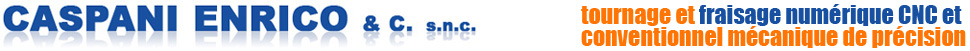 logo caspani enrico