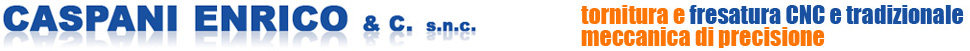 logo caspani enrico